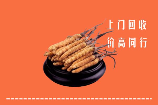 大同冬虫夏草回收多少钱每克